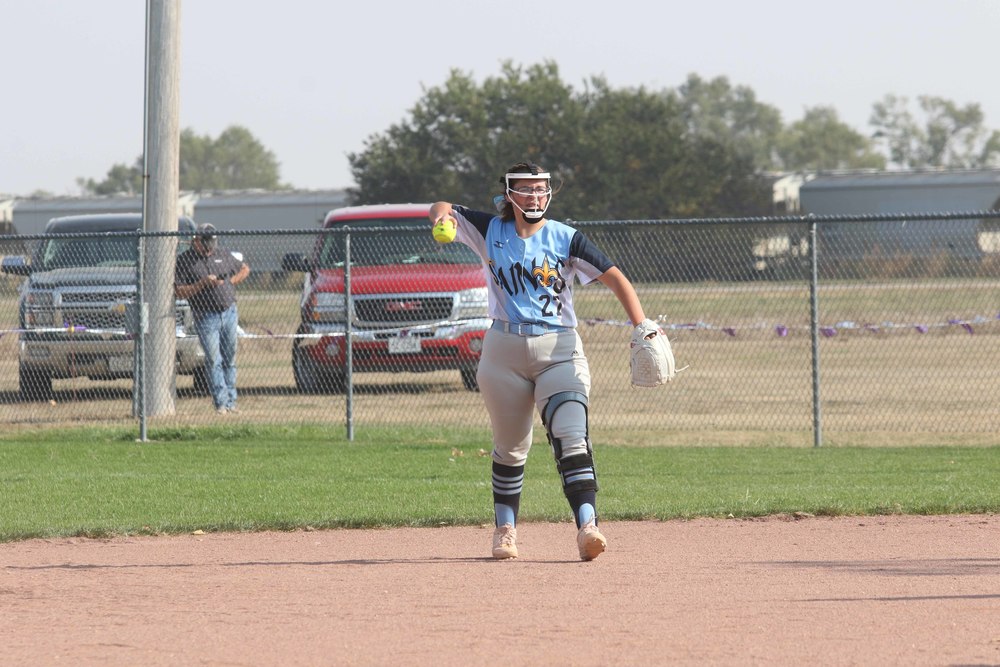 Softball Picture