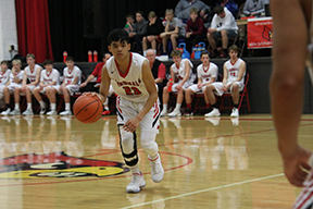 Cardinals Bulldoze the Bulls